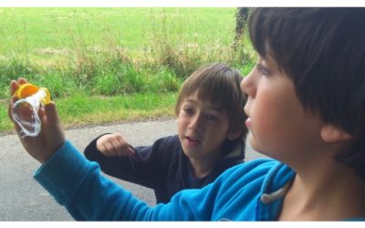 Les enfants-merveilles